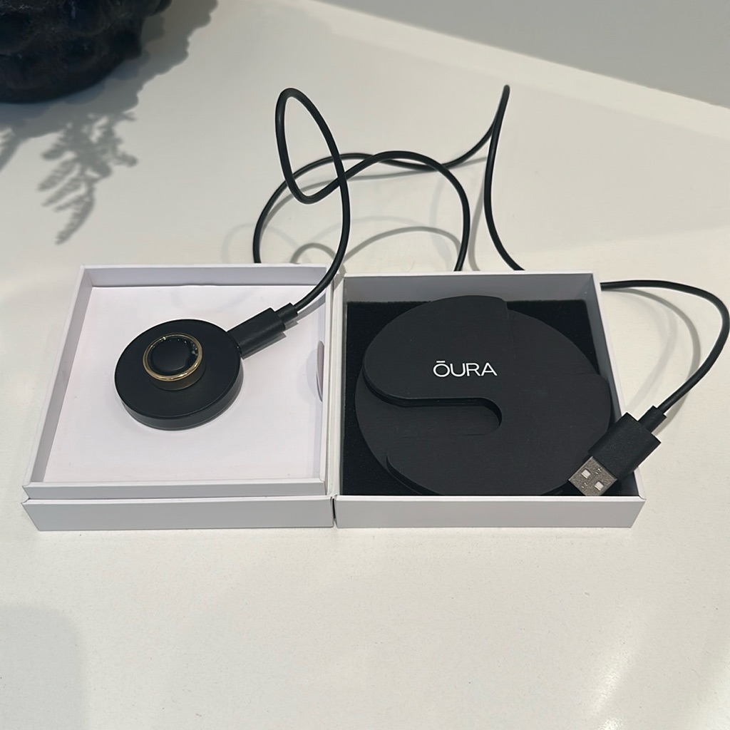 Oura Horizon Ring Size 6